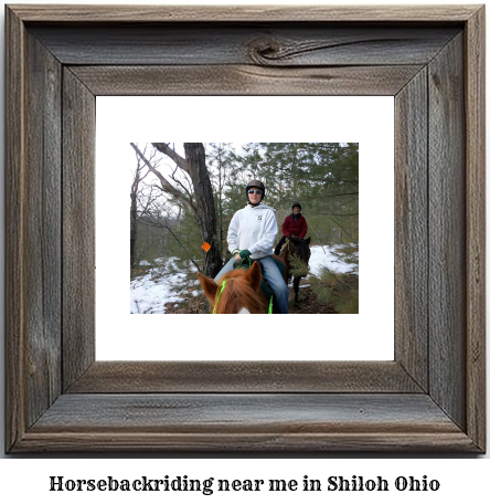 horseback riding near me in Shiloh, Ohio